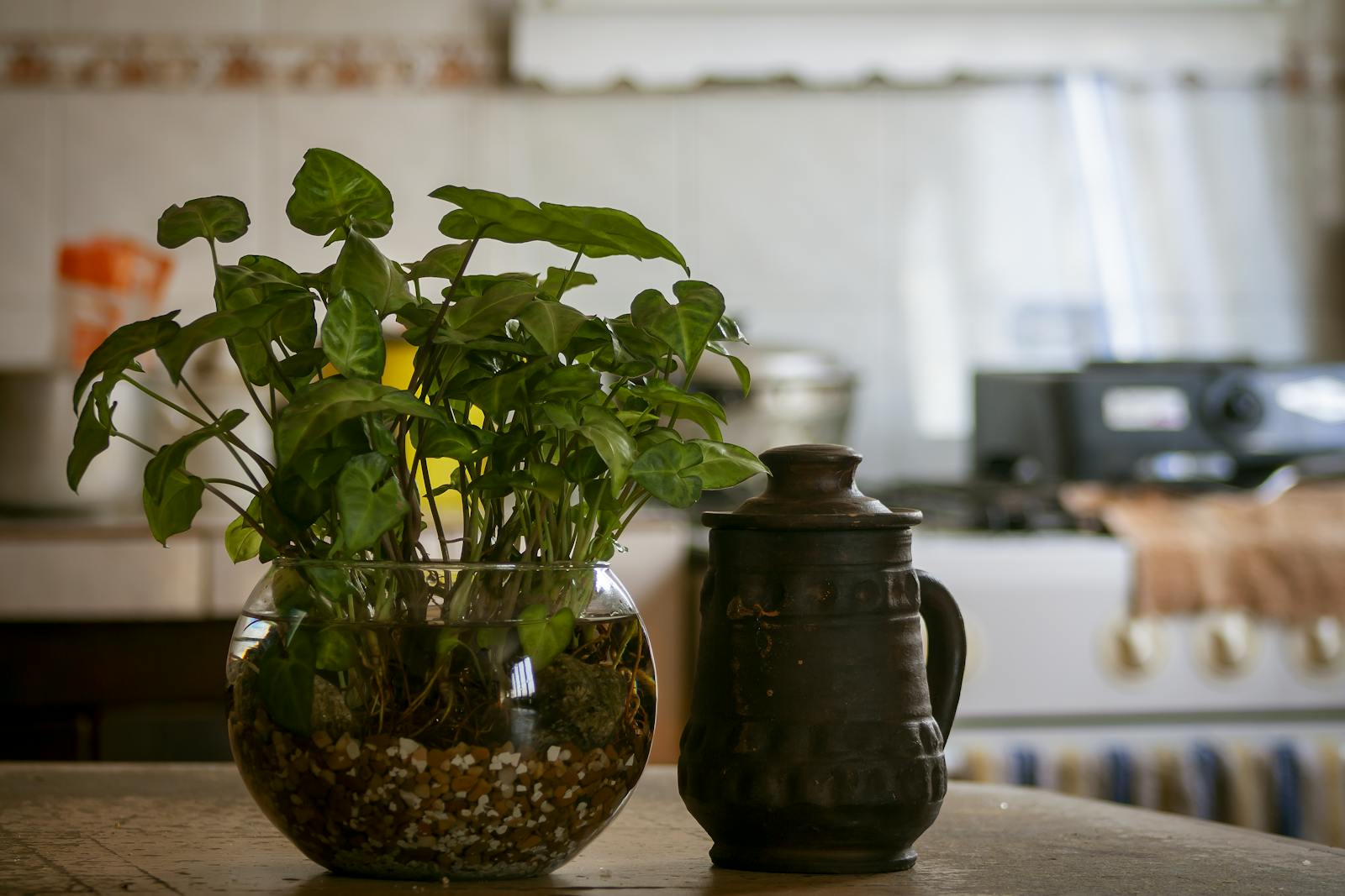 Small indoor plant display in a bright kitchen setting, representing stylish micro-gardens for compact kitchens.